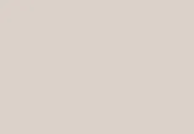 Dulux 2.5L Gently Fawn Silk Paint