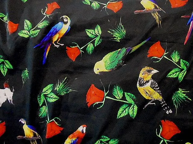 Parrots - Stretch Novelty