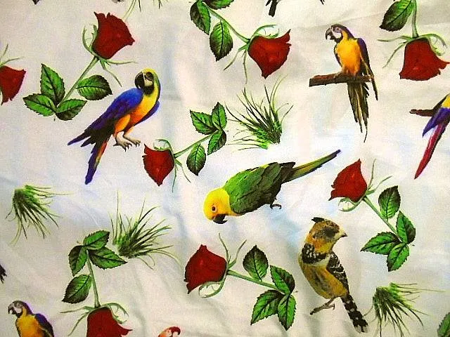 Parrots - Stretch Novelty